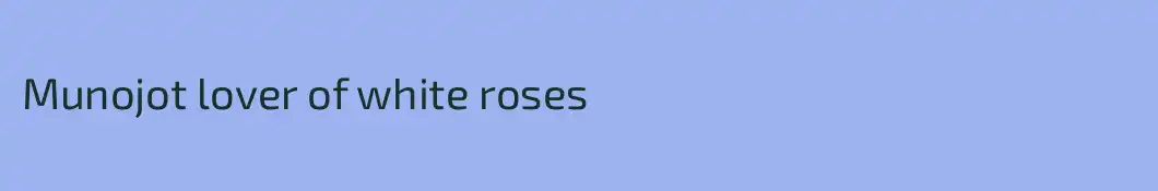 Munojot lover of white roses